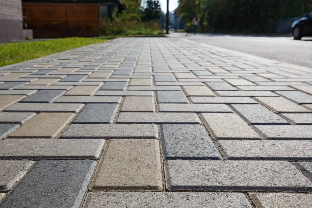 Best Driveway Paving Contractor  in Lemoore Station, CA