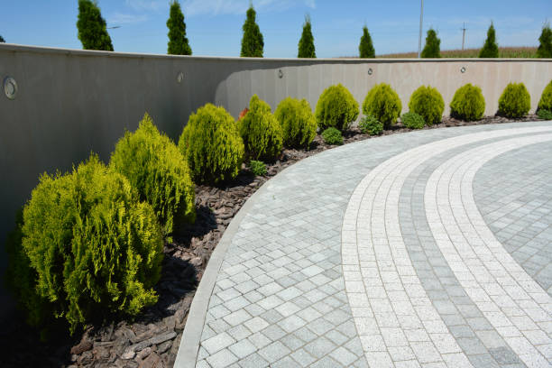 Best Decorative Driveway Pavers  in Lemoore Station, CA